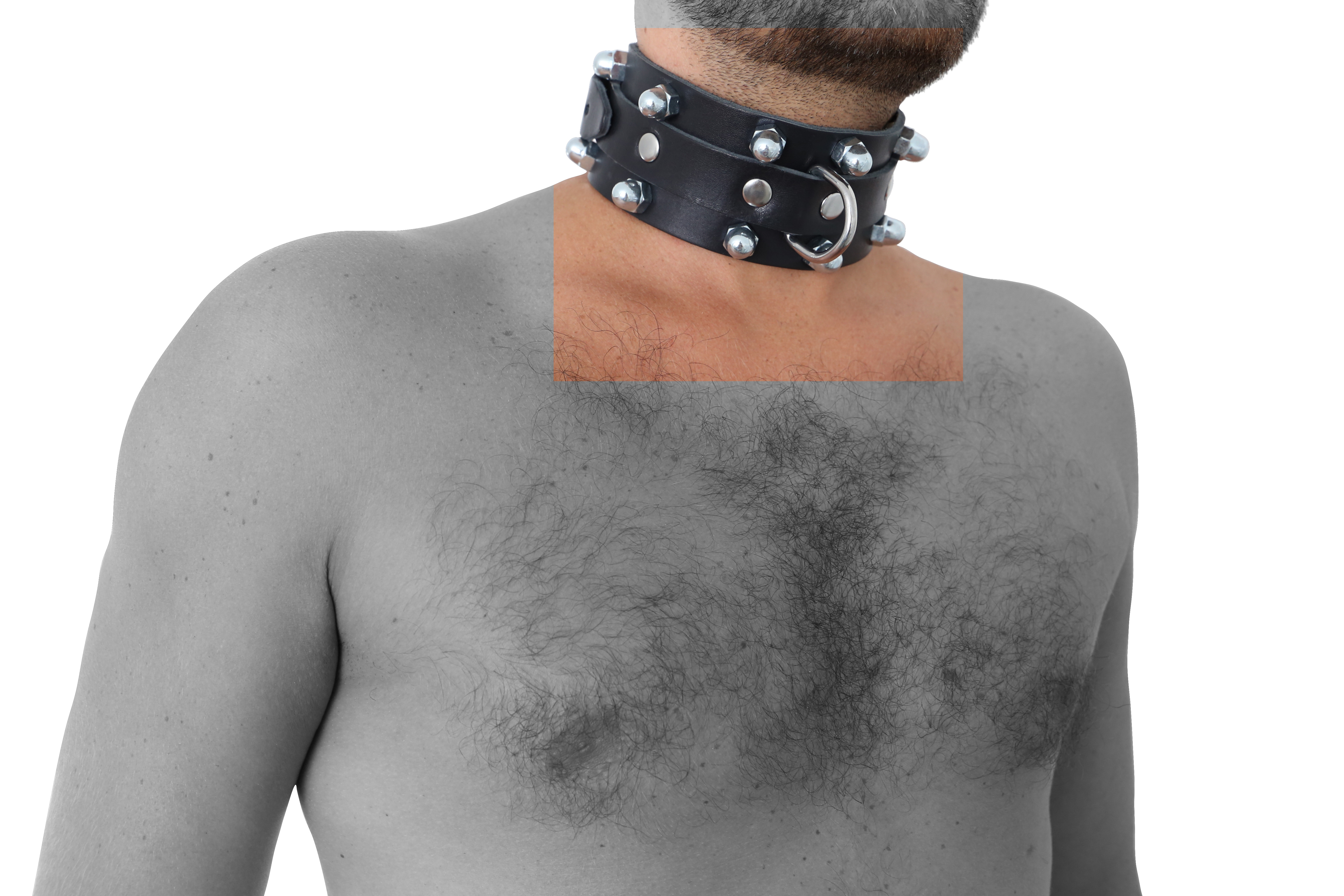 Halsfessel Hard Series