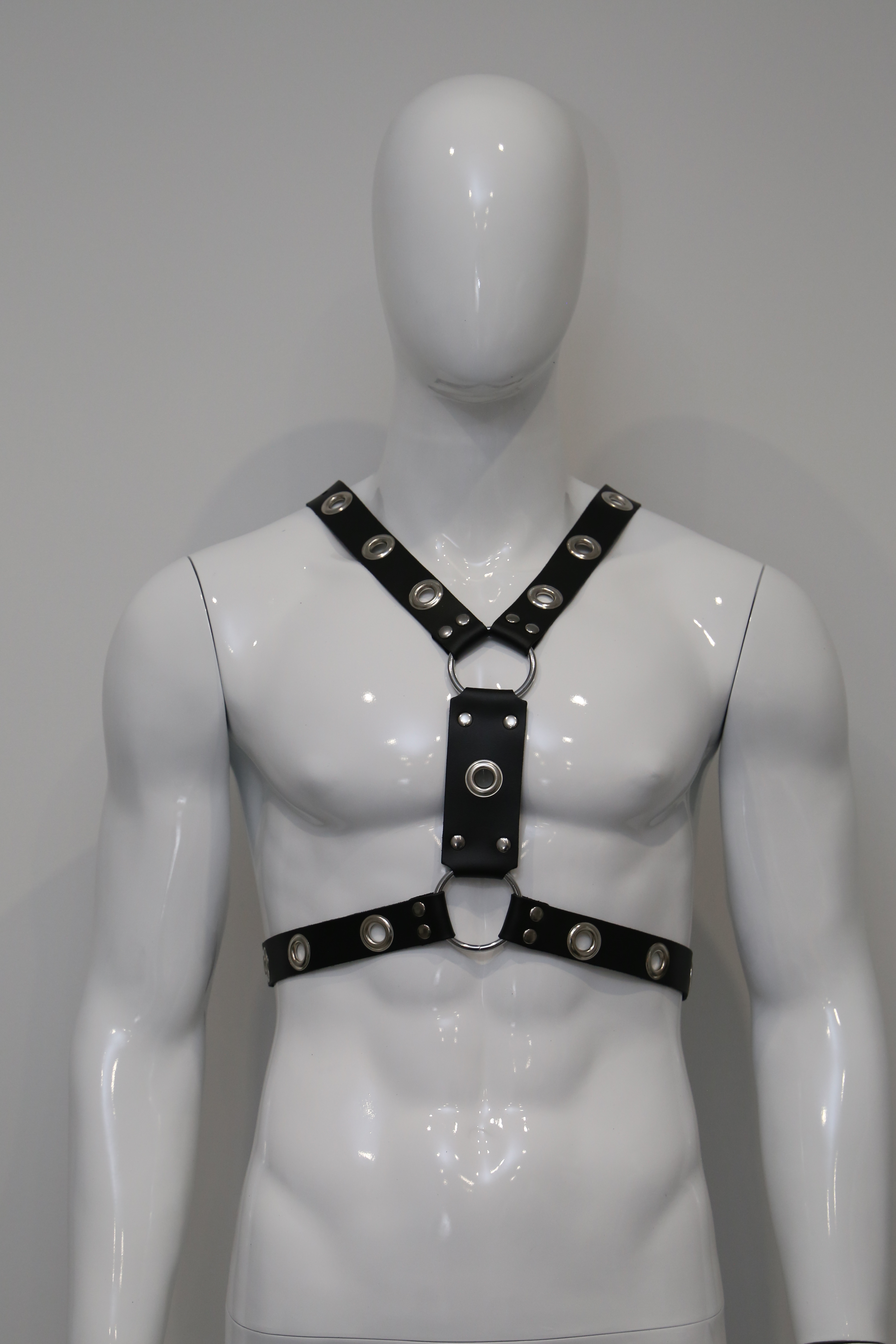 Harness