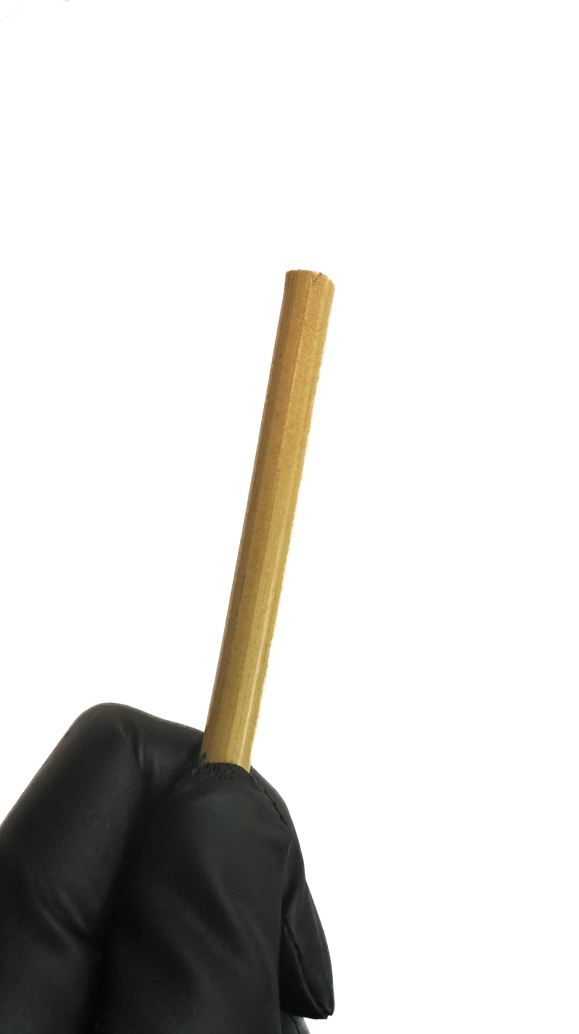 Cane unbehandelt, ungeschält, ca. 8 mm dick, Länge ca. 70 cm